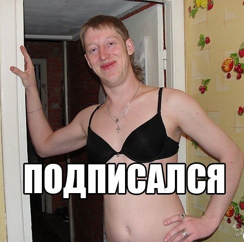 Смешные фотографии для беседы