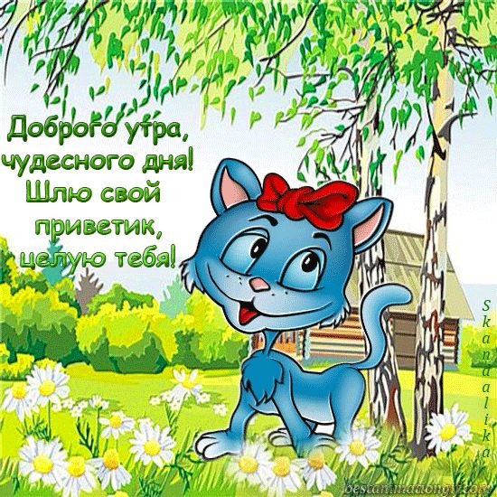 Поздравления с добрым утром прикольные