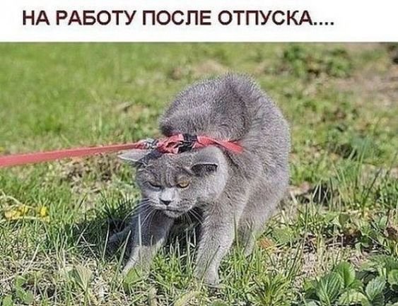 У нас тут своя атмосфера Мем