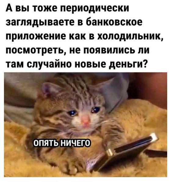 Смешные фото детей с надписями до слез
