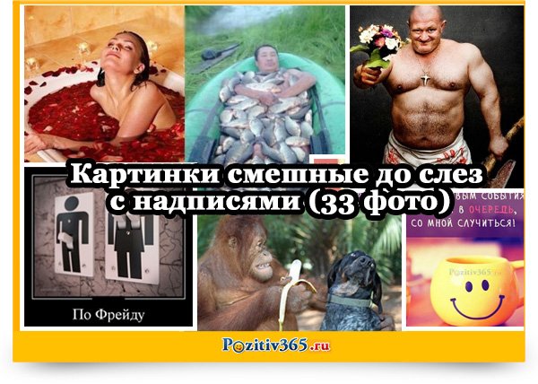 Картинки смешные до слез приколы про жизнь ржачные