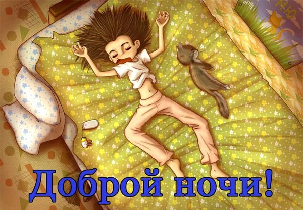 Спокойной ночи прикольные смешные