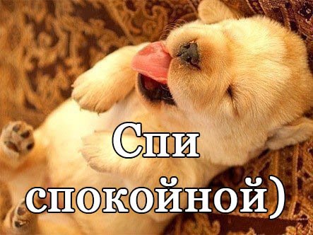 Спокойной ночи приколы ржачные