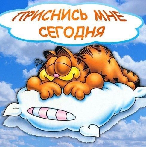 Приколы спокойной ночи девушке