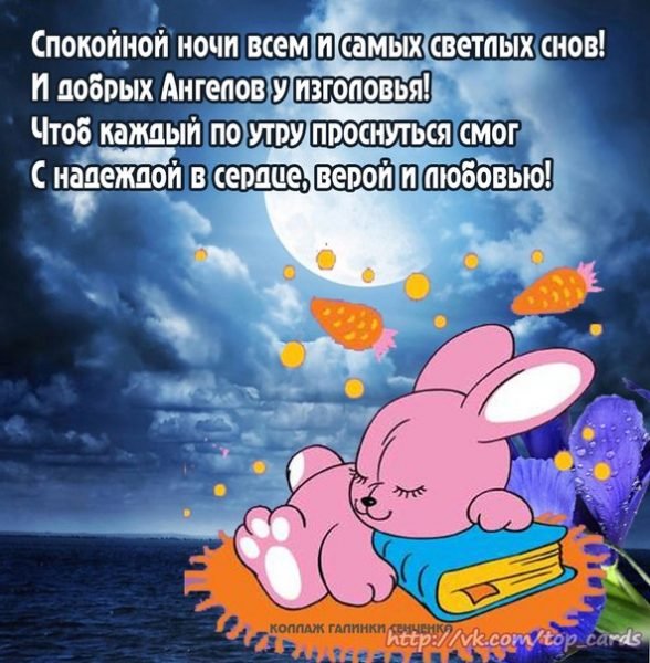 Прикольные пожелания спокойной ночи