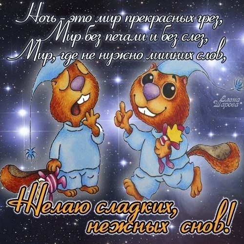 Пожелания на ночь прикольные