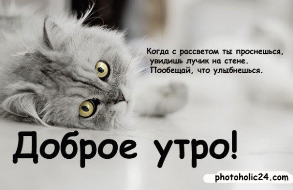 Доброе утро Леонид