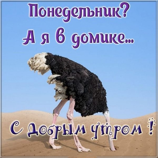 Доброе утро понедельника прикольные