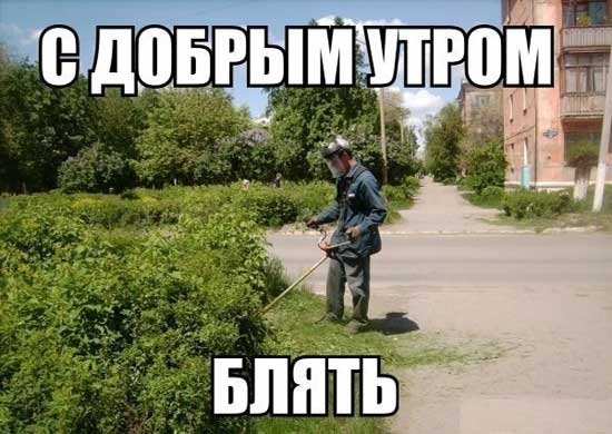 Угарные картинки с добрым утром