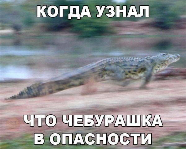 Смешные картинки с надписями до слёз