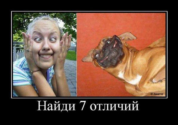Приколы рисунки поржать