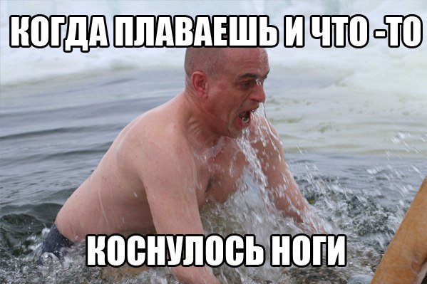 Очень смешные открытки до слез