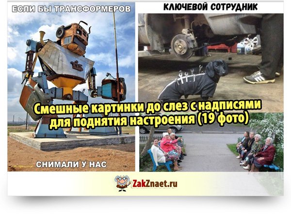 Надписи смешные до слез