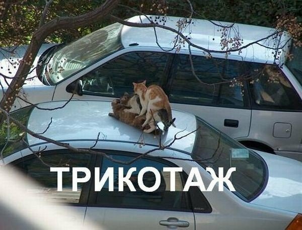 Фразеологизмы в прямом смысле