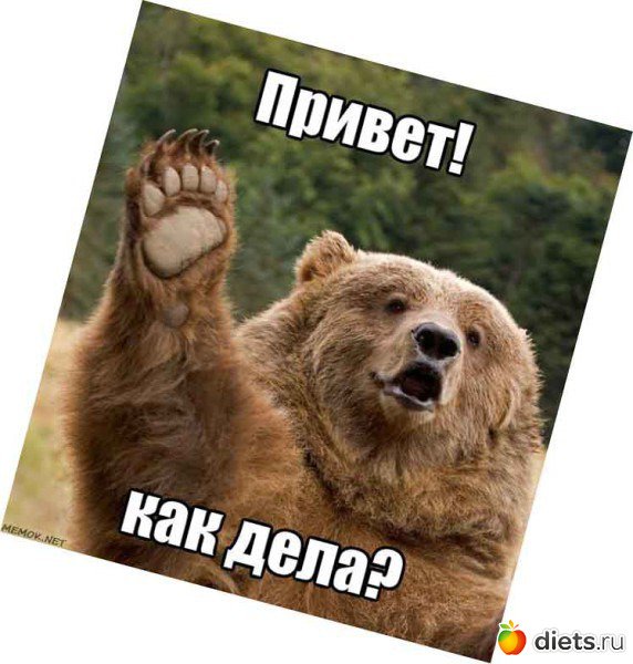 Всем привет