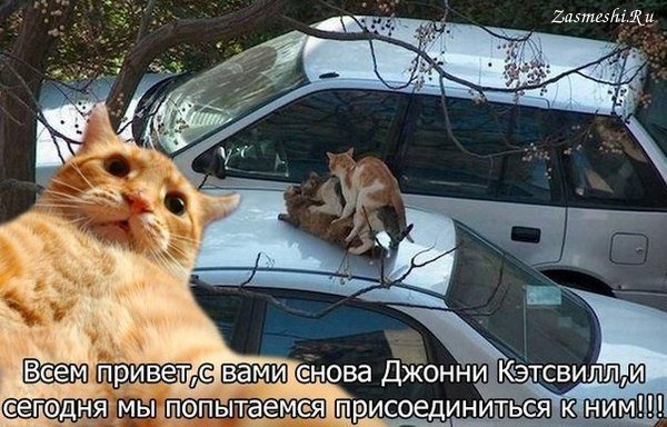 Джонни Кэтсвилл и автомобиль