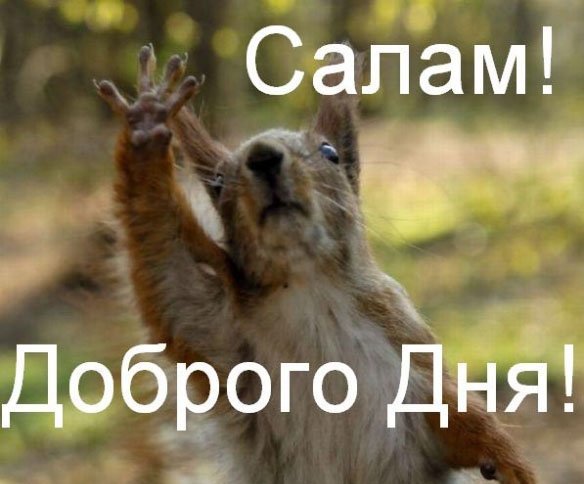 Добрый день прикол
