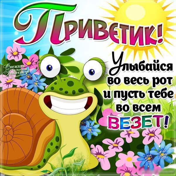 Приветик картинки прикольные