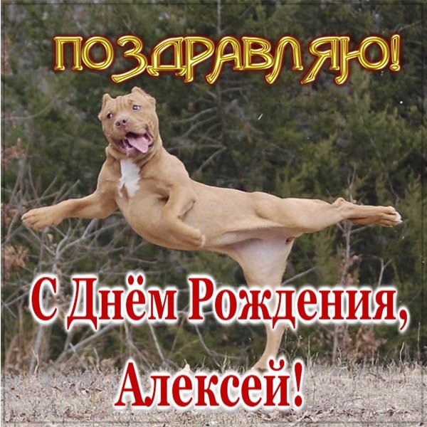 Лёша с днём рождения поздравления