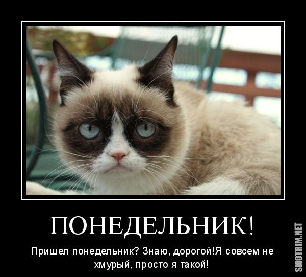 И снова понедельник