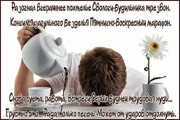 Опять понедельник с добрым утром смешные
