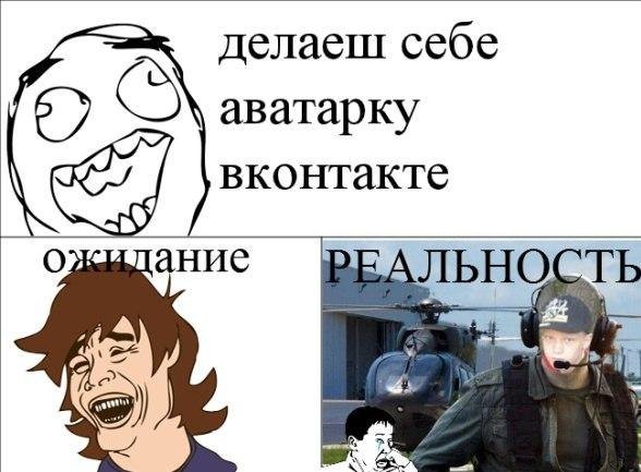 Смешные тигры с надписями
