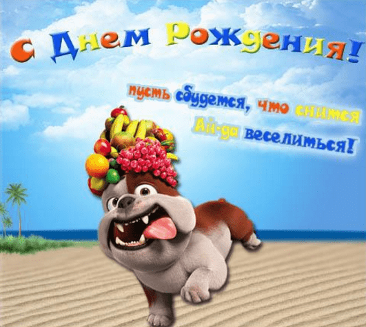 С днём рождения прикольные и смешные