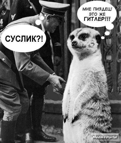 Гитлер приколы