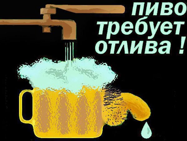Приколы про пиво
