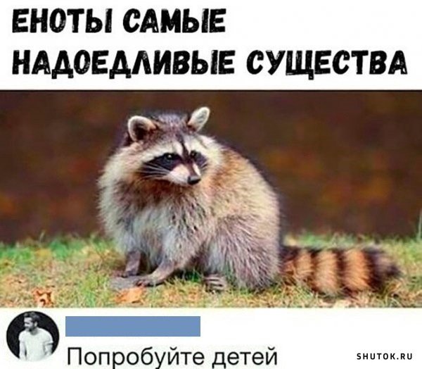 Угарные картинки комментарии к в инстаграм (50 фото)
