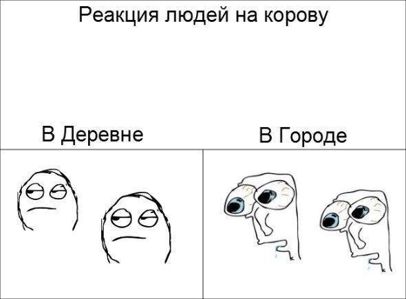 Ожидание реальность