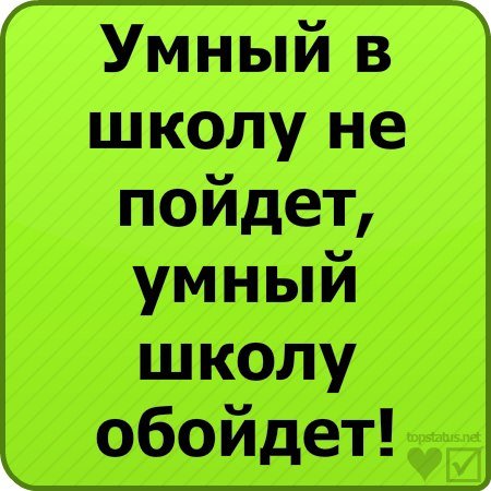 Смешные коты стим