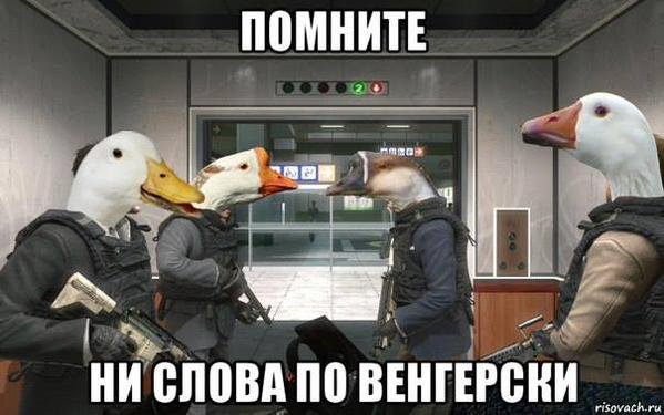 Гусь прикол