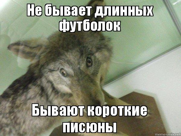 Упоротый волк