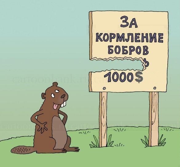 Юмор про Бобров
