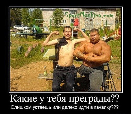 Качки демотиваторы