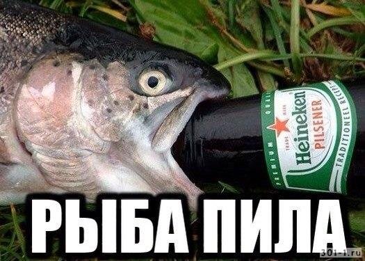 Рыба прикол
