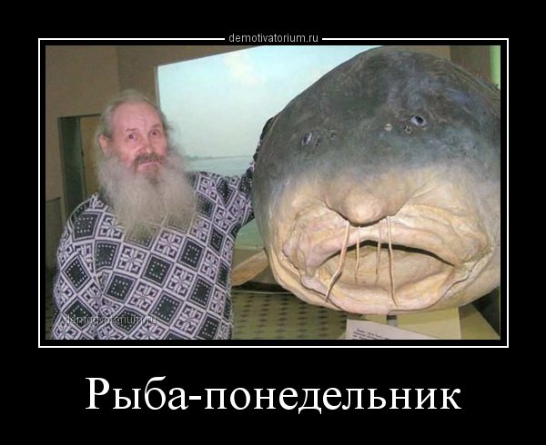 Рыбка Мем