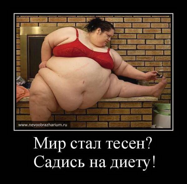 Юмор про толстых женщин