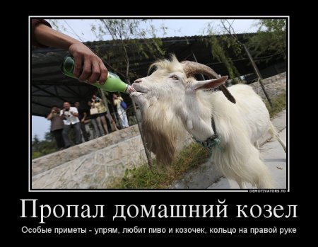 Шутки про Козлов