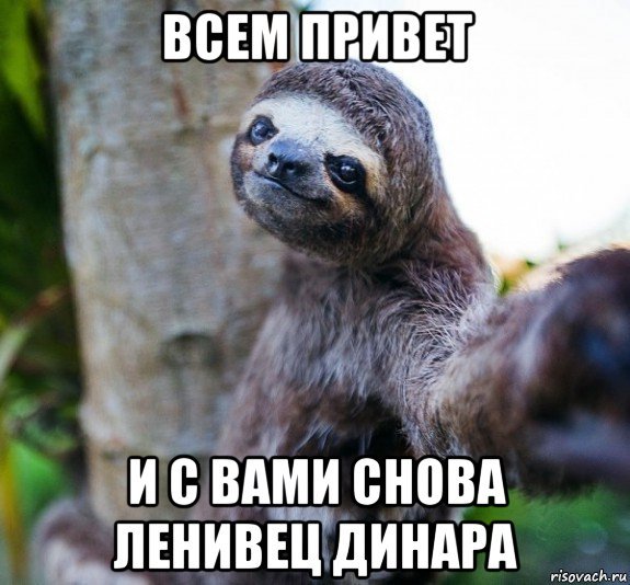 Ленивец мемы