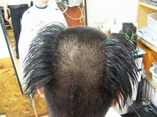 Приколы про стрижки и парикмахеров