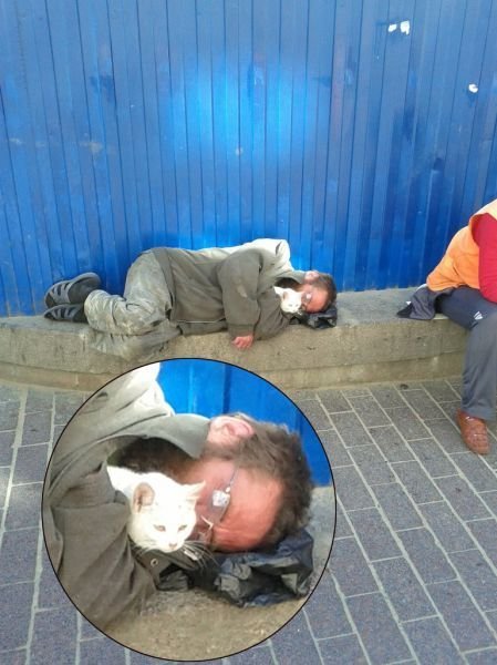 Бомж