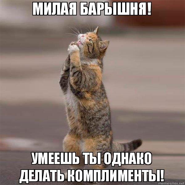 Мемы комплименты девушке