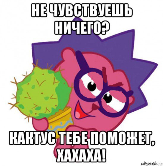 Мемы про смешариков