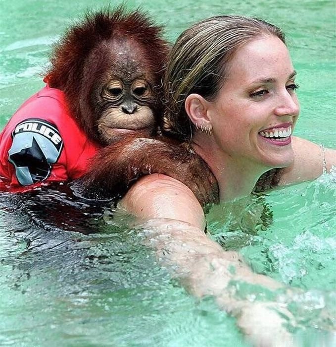 Самые прикольные женщины. Девушка и обезьяна. Обезьяна в воде. Обезьяна в бассейне. Смешные обезьяны.