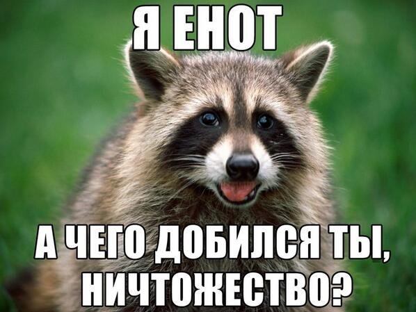 Прикольные фото на аву для беседы