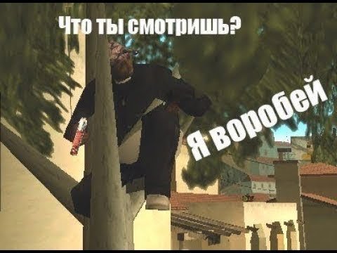 Мемы самп