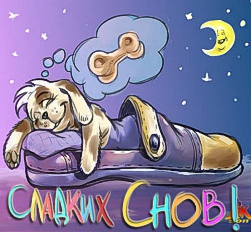 Сладких снов собачки