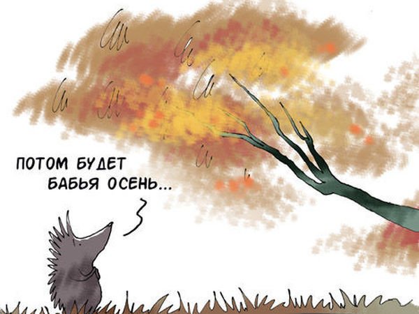 Цитаты про осень Веселые